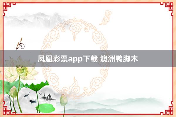 凤凰彩票app下载 澳洲鸭脚木