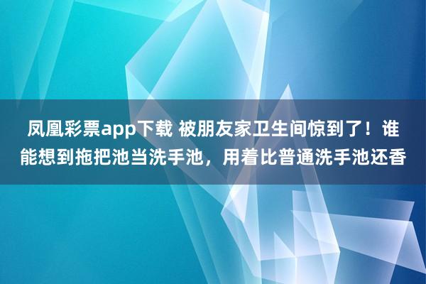 凤凰彩票app下载 被朋友家卫生间惊到了!谁能想到拖把池当洗手池,用着比普通洗手池还香