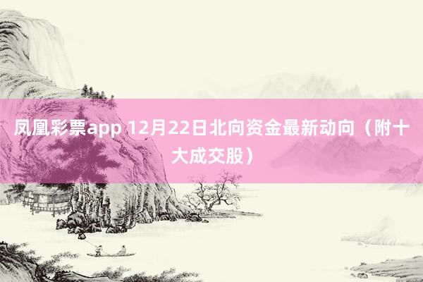 凤凰彩票app 12月22日北向资金最新动向（附十大成交股）