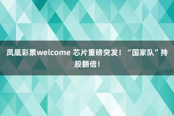凤凰彩票welcome 芯片重磅突发！“国家队”持股翻倍！