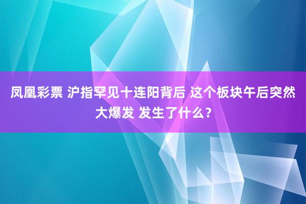 凤凰彩票 沪指罕见十连阳背后 这个板块午后突然大爆发 发生了什么？