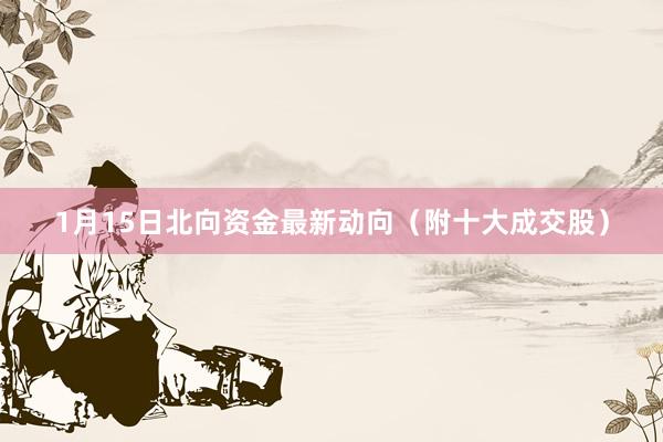 1月15日北向资金最新动向（附十大成交股）
