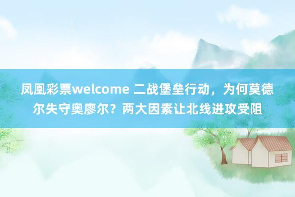 凤凰彩票welcome 二战堡垒行动，为何莫德尔失守奥廖尔？两大因素让北线进攻受阻