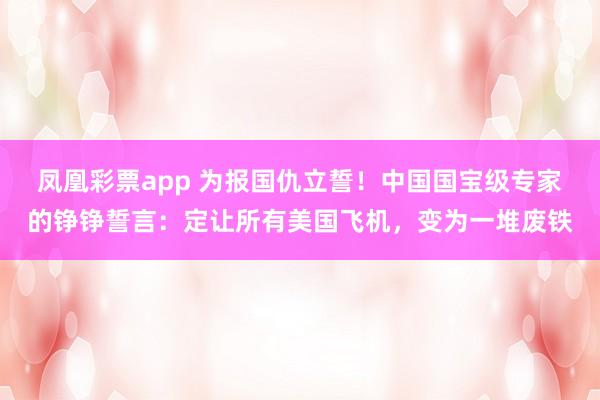 凤凰彩票app 为报国仇立誓！中国国宝级专家的铮铮誓言：定让所有美国飞机，变为一堆废铁