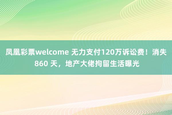 凤凰彩票welcome 无力支付120万诉讼费！消失 860 天，地产大佬拘留生活曝光