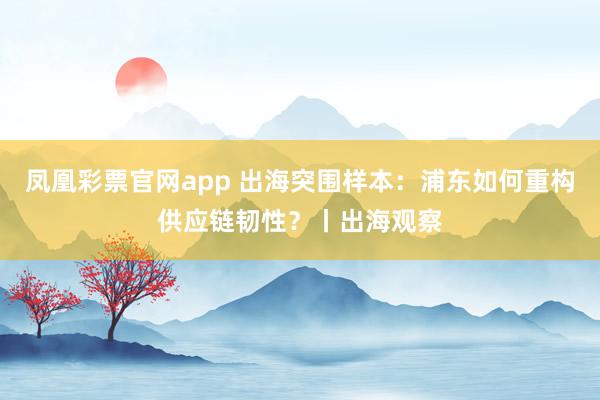 凤凰彩票官网app 出海突围样本：浦东如何重构供应链韧性？丨出海观察