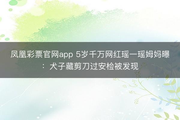 凤凰彩票官网app 5岁千万网红瑶一瑶姆妈曝:犬子藏剪刀过安检被发现
