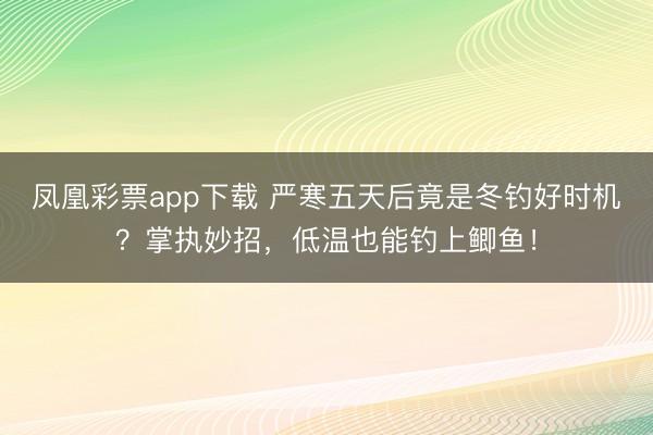 凤凰彩票app下载 严寒五天后竟是冬钓好时机？掌执妙招，低温也能钓上鲫鱼！