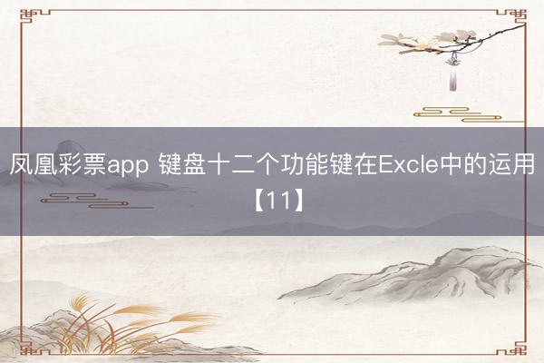 凤凰彩票app 键盘十二个功能键在Excle中的运用【11】