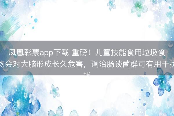 凤凰彩票app下载 重磅！儿童技能食用垃圾食物会对大脑形成长久危害，调治肠谈菌群可有用干扰