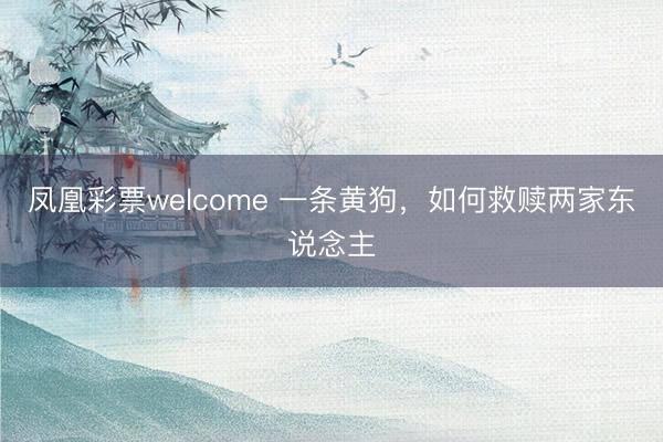 凤凰彩票welcome 一条黄狗，如何救赎两家东说念主